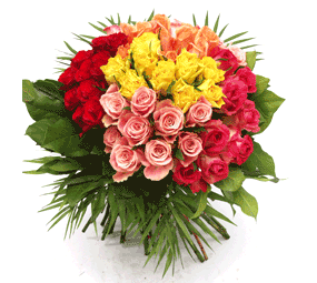 roses