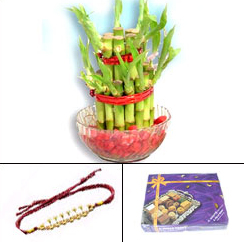 rakhi