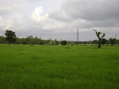 sirsi