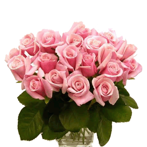 order roses online in hubli