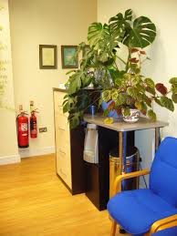 How to create an eye catching living room decor