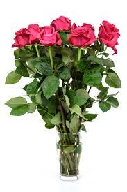 Roses bouquet