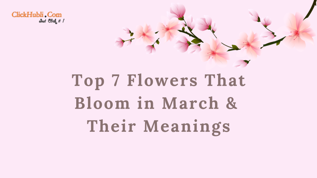 Top 7 Flowers That Bloom in March and Their Meanings