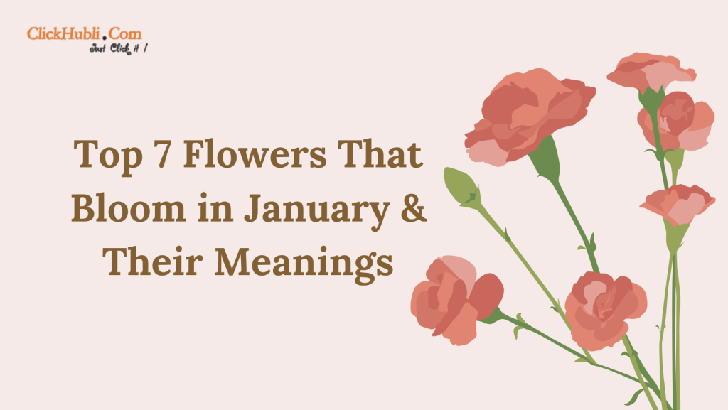 Top 7 Flowers That Bloom in January and Their Meanings