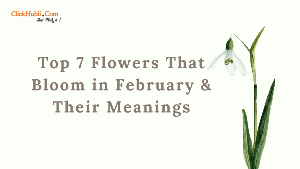 Top 7 Flowers That Bloom in February and Their Meanings