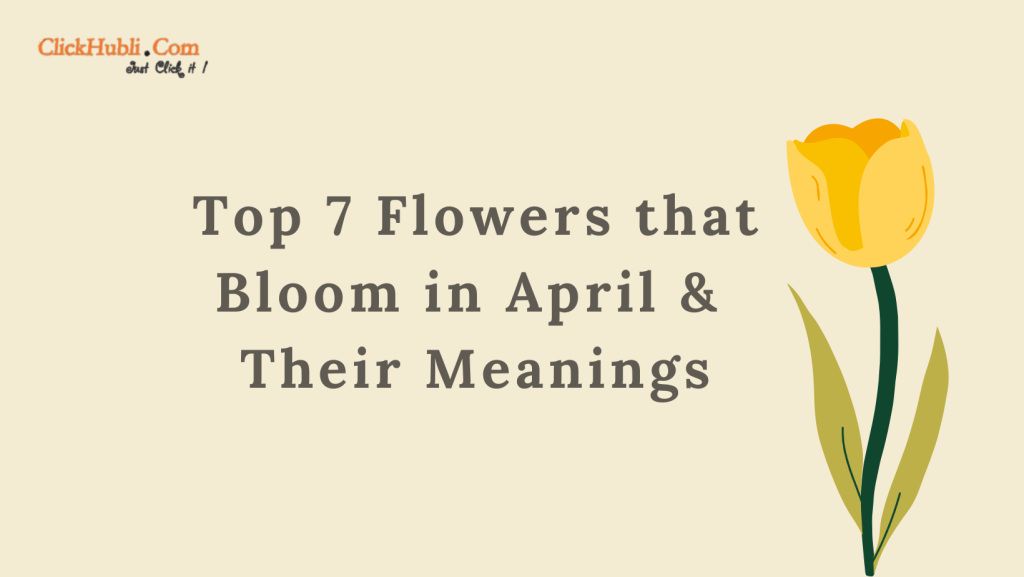Top 7 Flowers That Bloom in April and Their Meanings