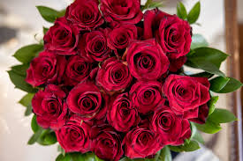 happy anniversary roses