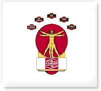 web_development at hubli_ web_development at hubli_ mahaveerlimbs.org