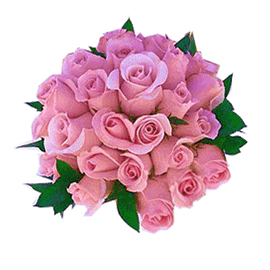 beautiful Pink Rush 24 pink roses bunch