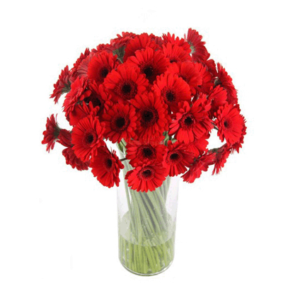 Send Flowers to Hubli