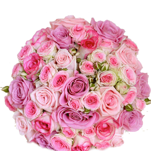 send roses to hubli